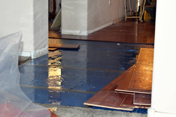 Professional Basement Flood Cleanup technician working in Center Moriches, NY